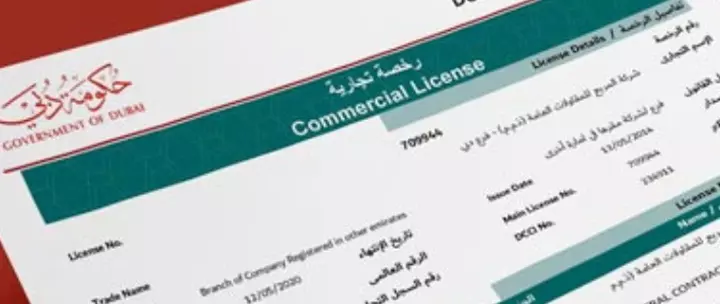 Dubai Handyman Trade License